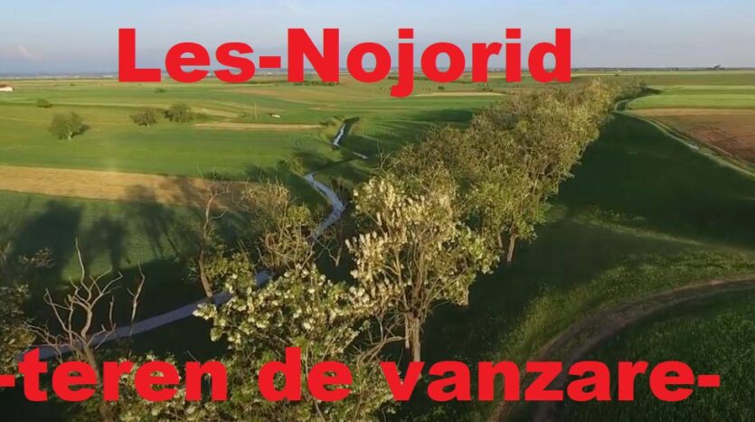 teren Nojorid-Les