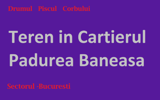 Teren 1000 mp Piscul Corbului =CARTIERUL PADURERA BANEASA