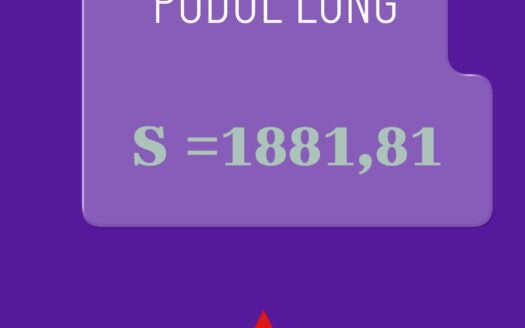 COMARNIC-PODUL LUNG