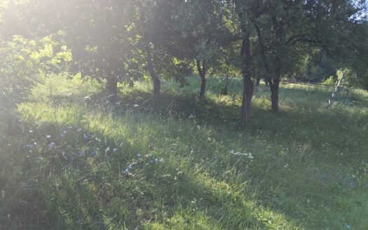 Prahova-Comarnic, Podul Lung, stradal, teren imprejmuit