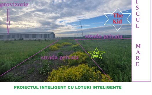 Teren Piscul Mare-Piscul Rusului, Cartierul Padurea Baneasa