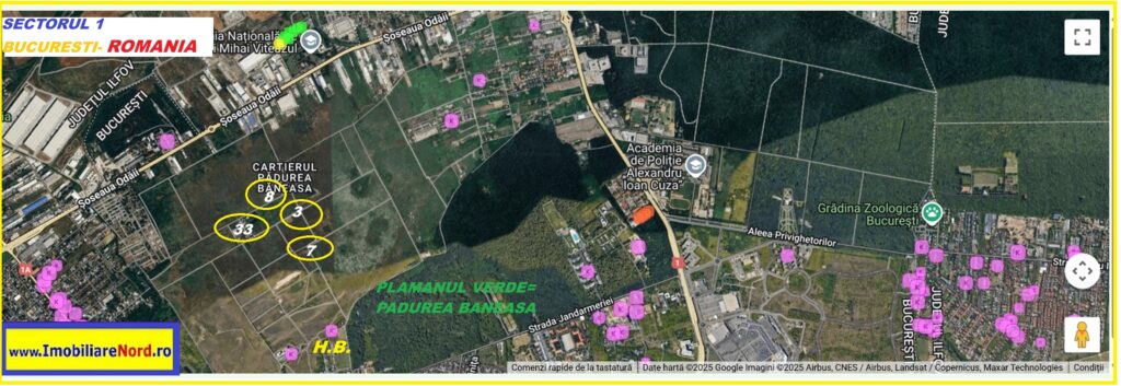 Varful Plesita-ImobiliareNord