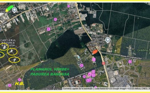 Teren Varful Plesita-Piscul Pietrei, Cartierul Padurea Baneasa